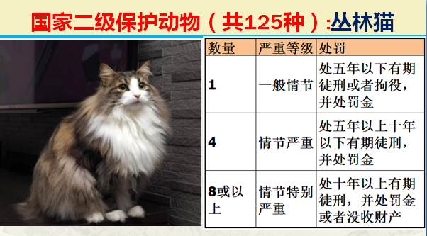国家保护动物分几个等级（125类二级野生保护名录）