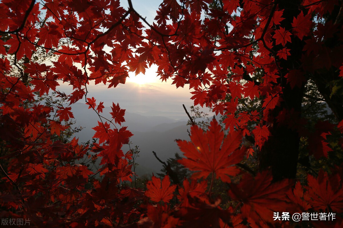 七律.清晨街巷雨缠绵