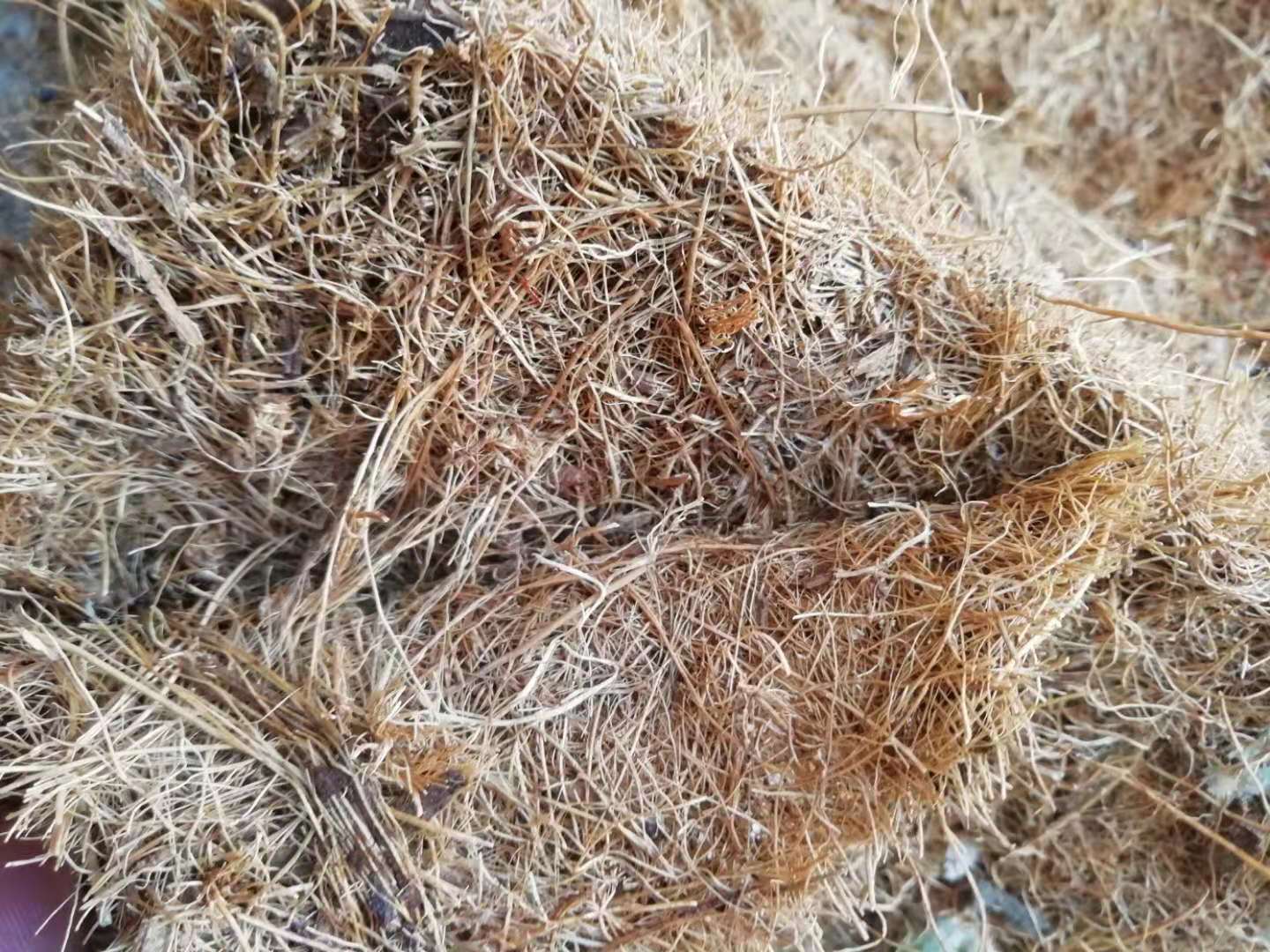 床墊什么牌子好（床墊種類哪種好？床墊如何挑選？床墊哪個牌子好？床墊推薦）