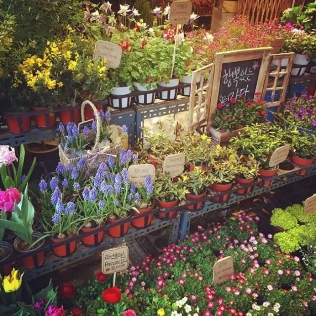 如何开一家赚钱的花店？