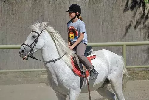 最全整理！西班牙国际学校排名、学费、推荐介绍