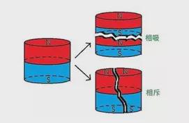 磁铁是用什么做的（自制磁铁）-第1张图片-科灵网