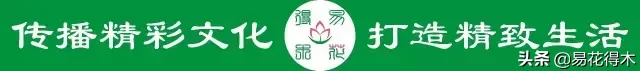 玉兰、紫玉兰、广玉兰、白兰花、木兰、望春、辛夷分别是什么花?