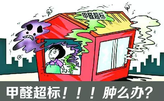 装 修 如 何 避 免 甲 醛 侵 袭