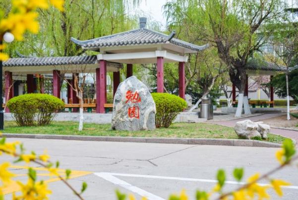 天津一所大学很委屈，明明是正牌本科高校，却总被误认成野鸡大学