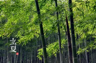 节气表二十四节气歌（节气表二十四节气歌词）-第10张图片-科灵网