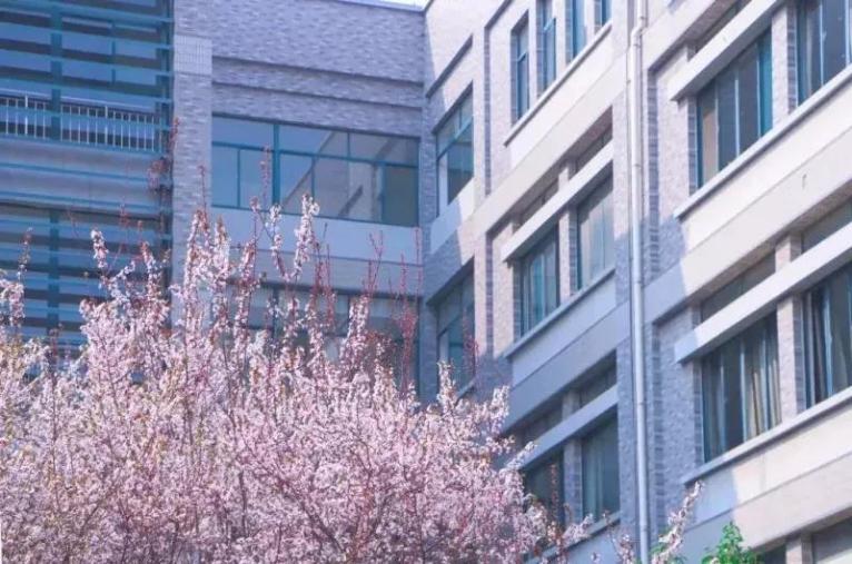 山东师范大学：3个学科世界前1%，第4轮学科评估位列省属高校第一