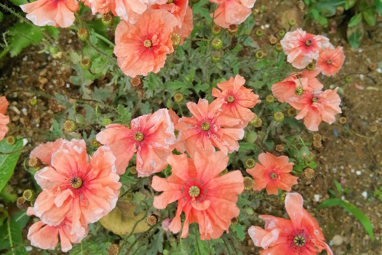 若不懂珍惜，就不配拥有