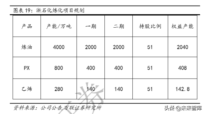 化纤行业专题报告：龙头对比分析，业务布局及成长