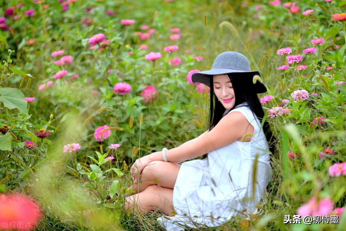 16张照片点评，给摄影新手的正确示例，菊花人像这样拍才美丽