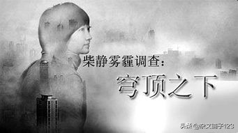 中国人是不是人？央视主持人柴静因何从“公知女神”沦为全网群嘲
