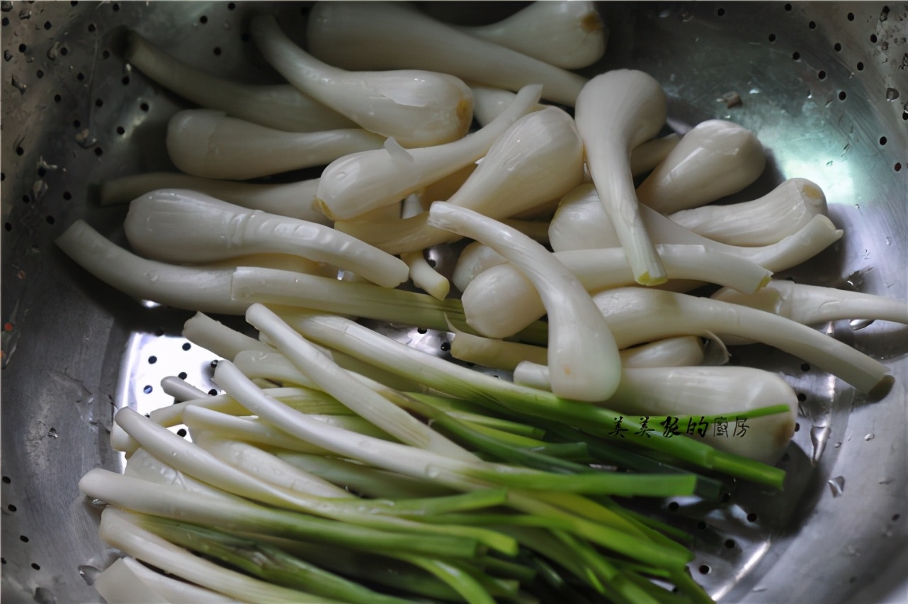 蕎頭,蕎頭圖片