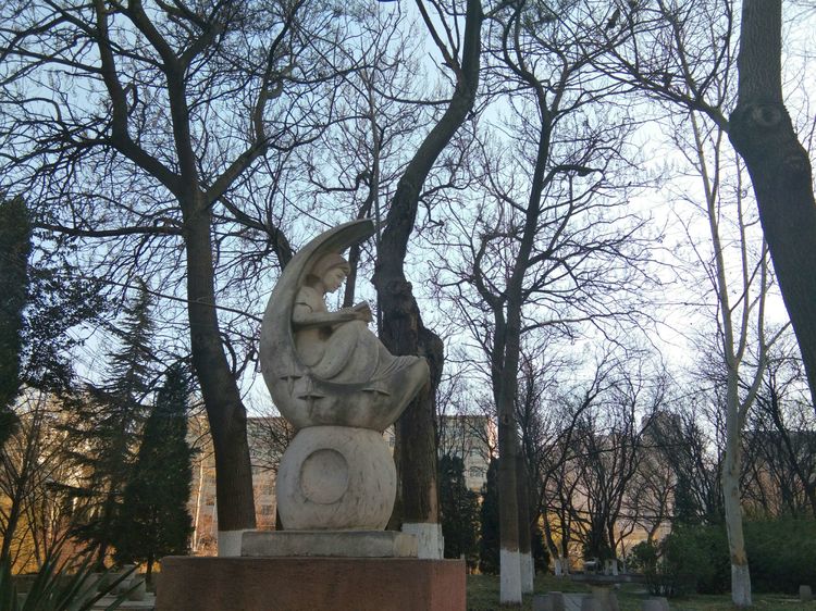 梦想花开，走进山东财经大学的春天！