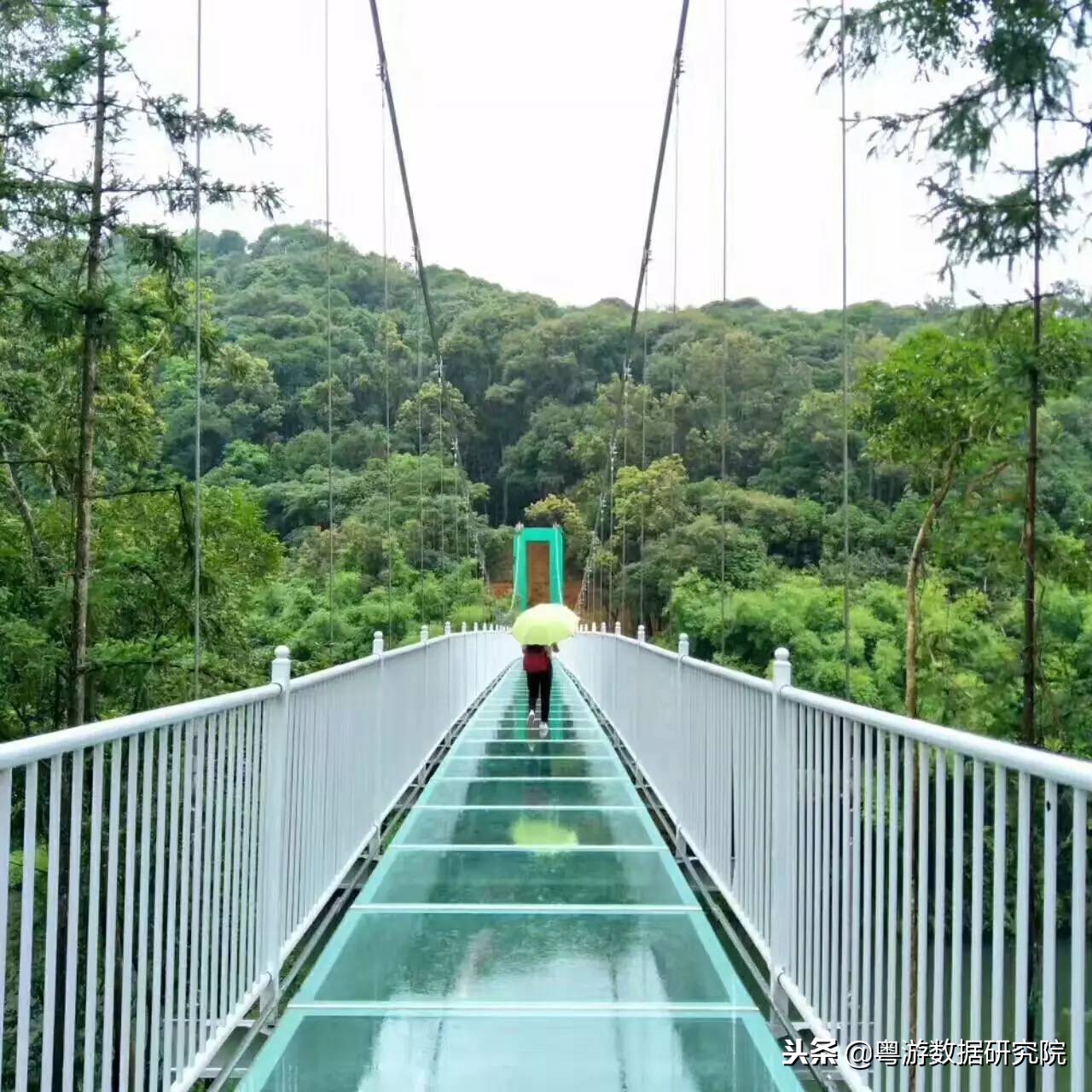 观音山玻璃桥门票价格悬浮