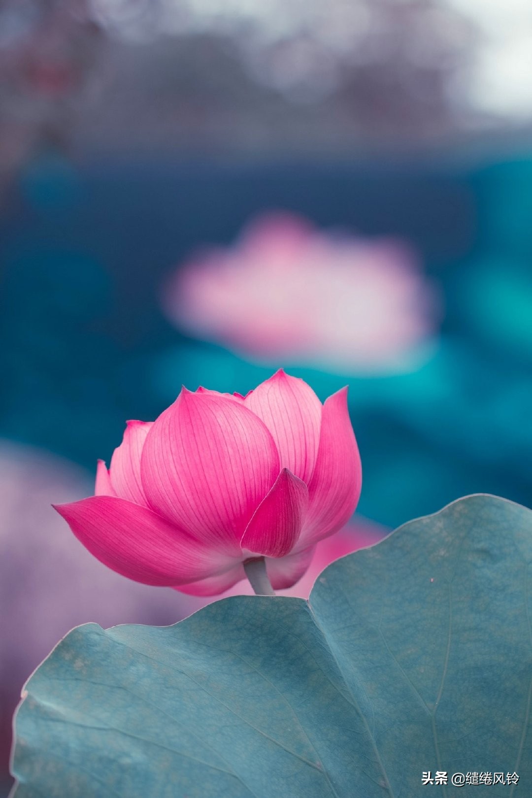 剑未佩妥，出门已是江湖——50句古风文艺诗句，美到窒息