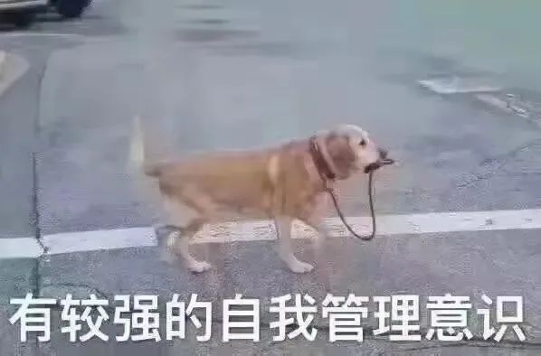 考研和高考哪个难，终于有结论了……