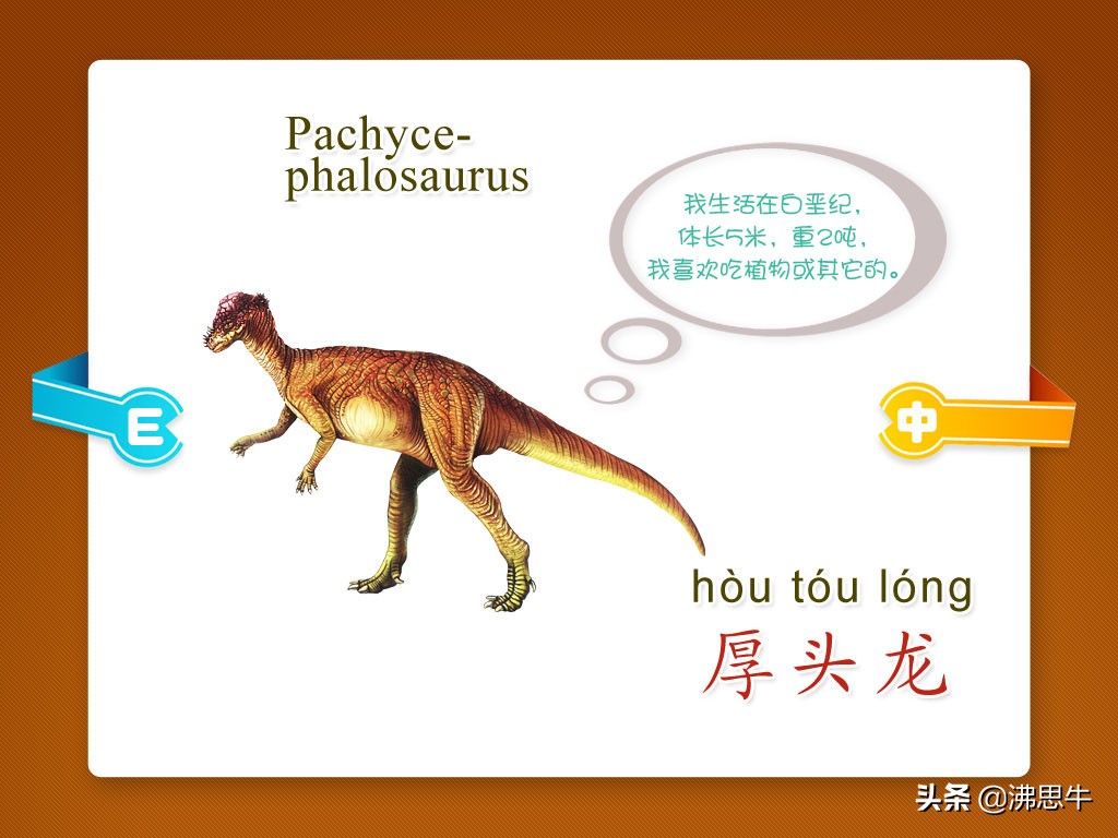 恐龙的种类有哪些「恐龙的种类名称和图片及特点」