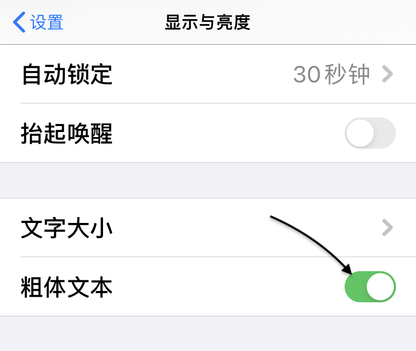 把苹果手机上的字放到最大