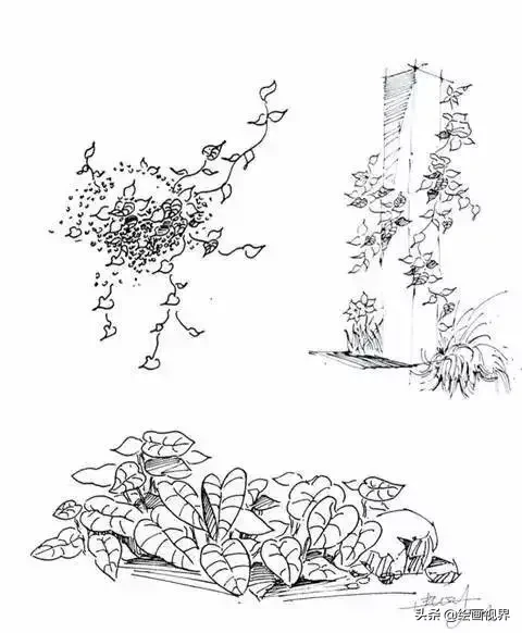 干货！教你15种速写植物配景画法，简单易学，学会画速写很简单