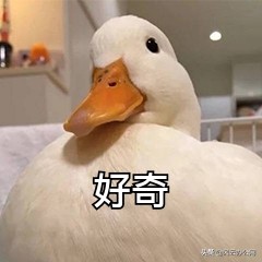 如何将录音高效转换为文字？