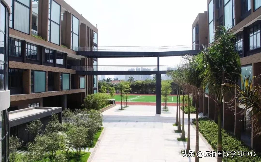 鼎石、包玉刚、世外、深外国际部等三十多所国际学校开放日汇总