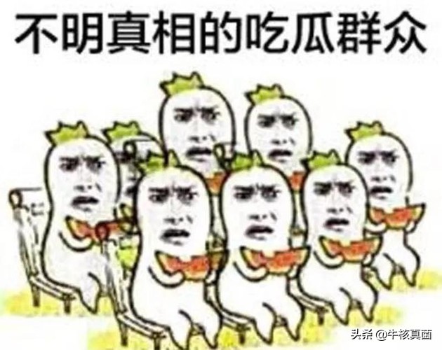 话不能乱说，公文也切勿乱发——从伊利蒙牛事件看公文发布重要性