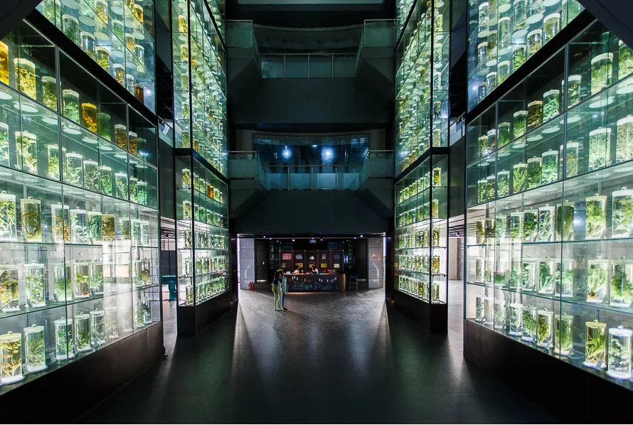 广州中医药大学成人高等学历教育2021年招生简章