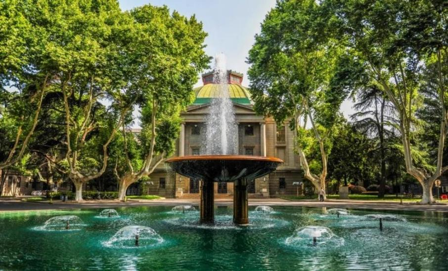 肿瘤治疗获突破！江苏科研团队再出重大成果，癌症诊疗方面显独特优势！