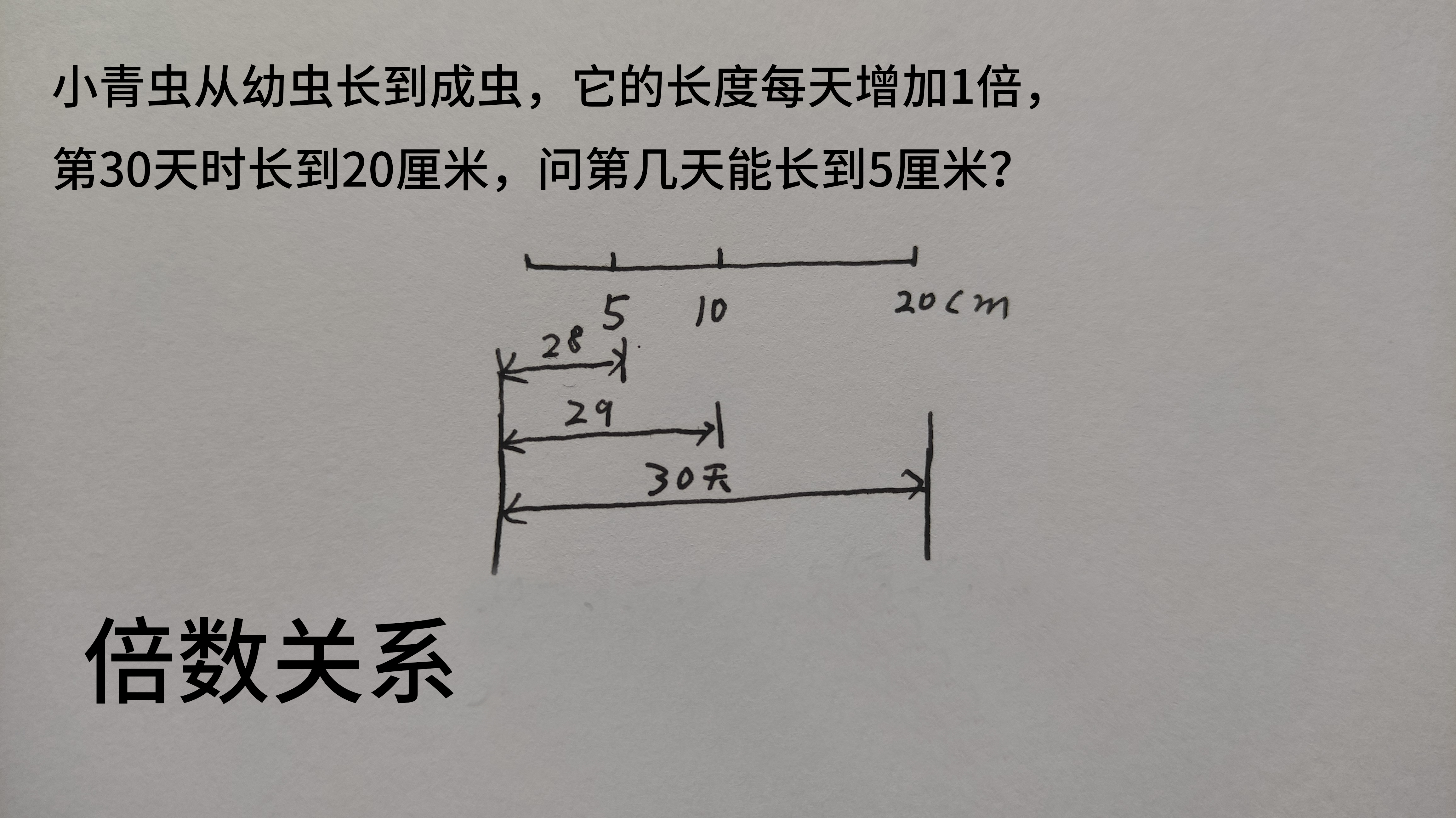 什么是足球什么是排球(三年级数学，倍数关系问题整理)