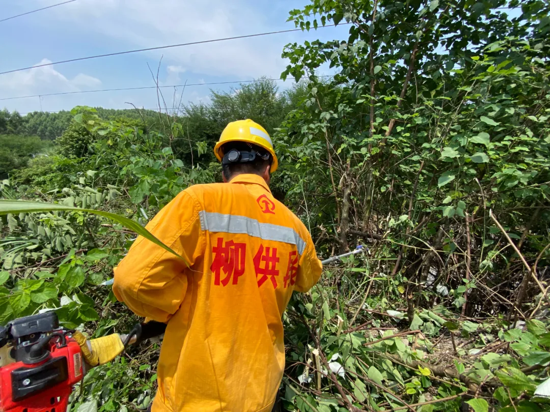 供电青年：高温、高压与我们之间的较量——团旗在一线高高飘扬