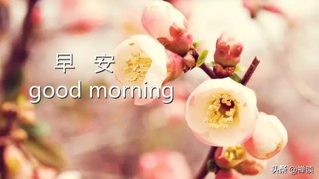 早安心语：人生，每过一段时间，都要将过去清零，让自己重新开始