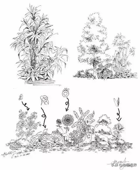 植物绘画技法全攻略：从基础到进阶的实用教程