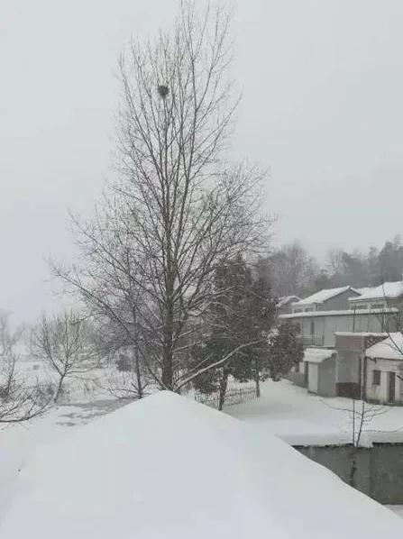 雪落京城，多彩深秋添素色。触景生情，往事如烟忆雪天