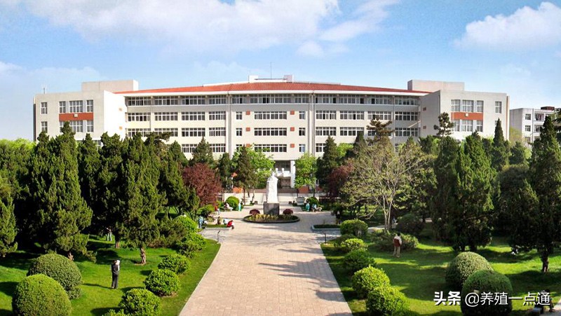 陈宏权，安徽农业大学动物科技学院教授、博导，动物遗传育种专家