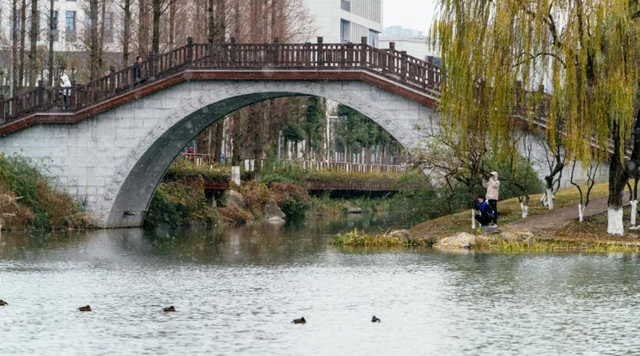 四川的大学有哪些（终于来了）