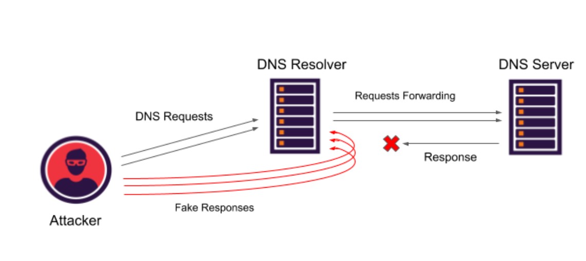 DNS 的 5 种攻击形式和应对举措