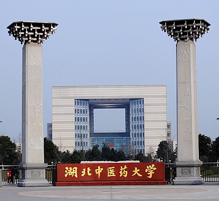 武汉成人大专学校有哪些？推荐10所成人高校