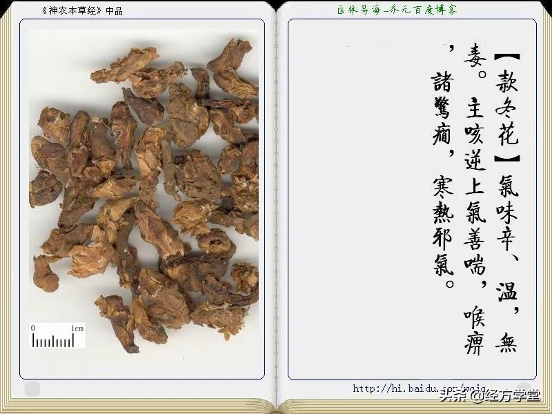 《神农本草经》全册图文解析 建议收藏