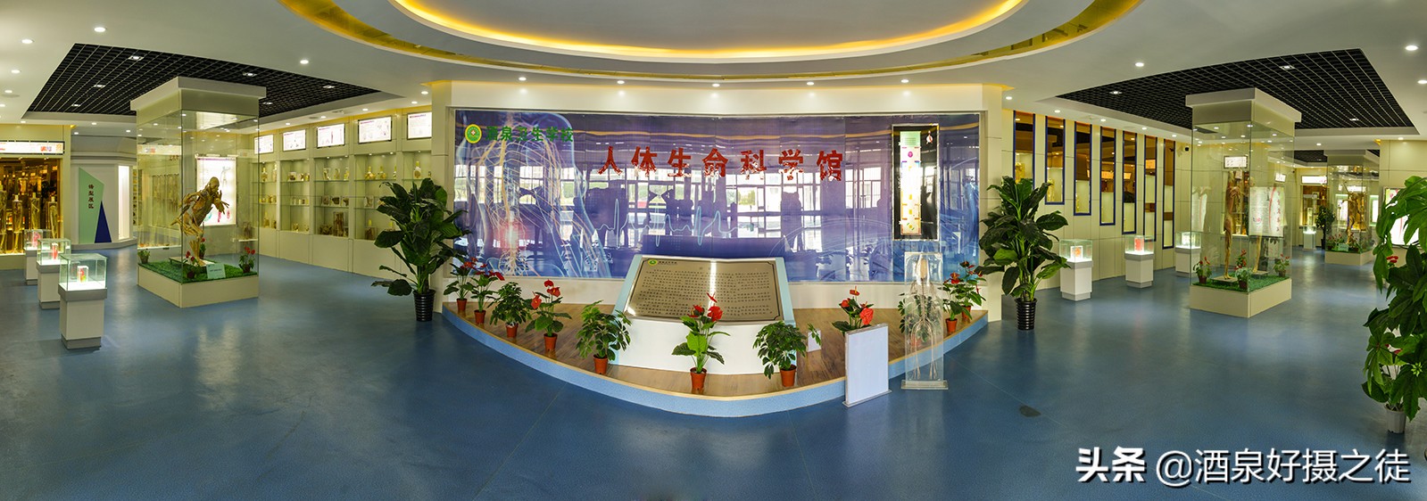 人体塑化(《人体生命科学馆》陈列了塑化技术制成的人体标本,你敢参观