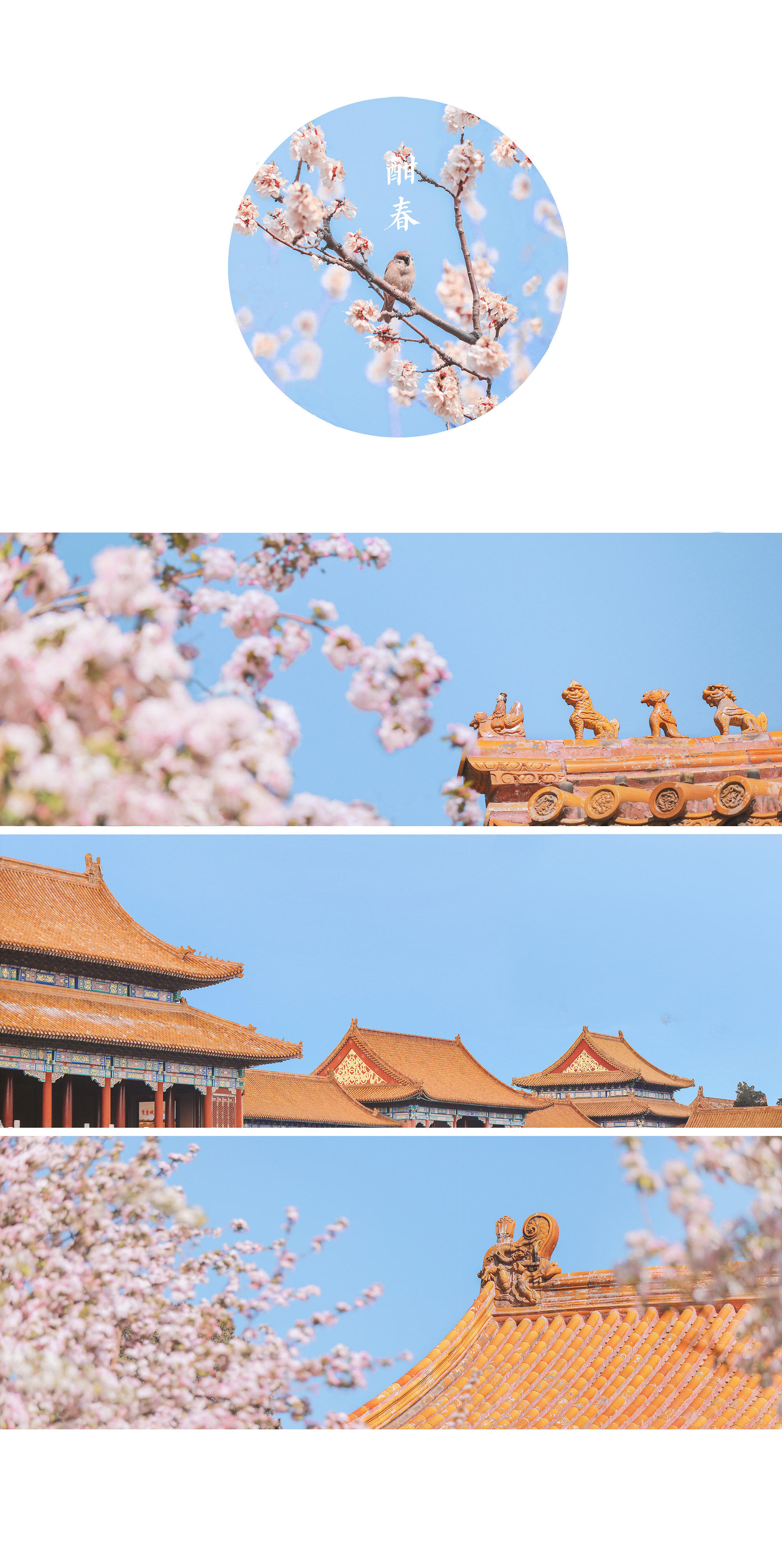 疫情过去了，我们去旅行吧！（北方）