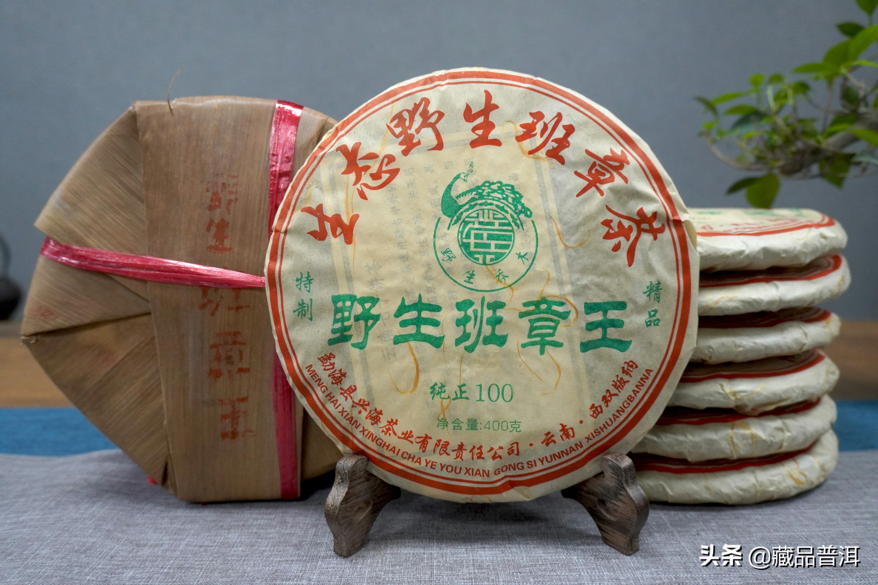 2021普洱茶十大知名品牌榜新鮮出爐！看看你關(guān)注的品牌，上榜了嗎
