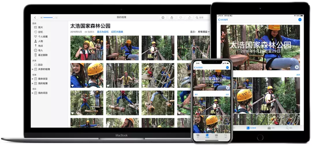 iPhone删除照片如何恢复？详细方法一键找回