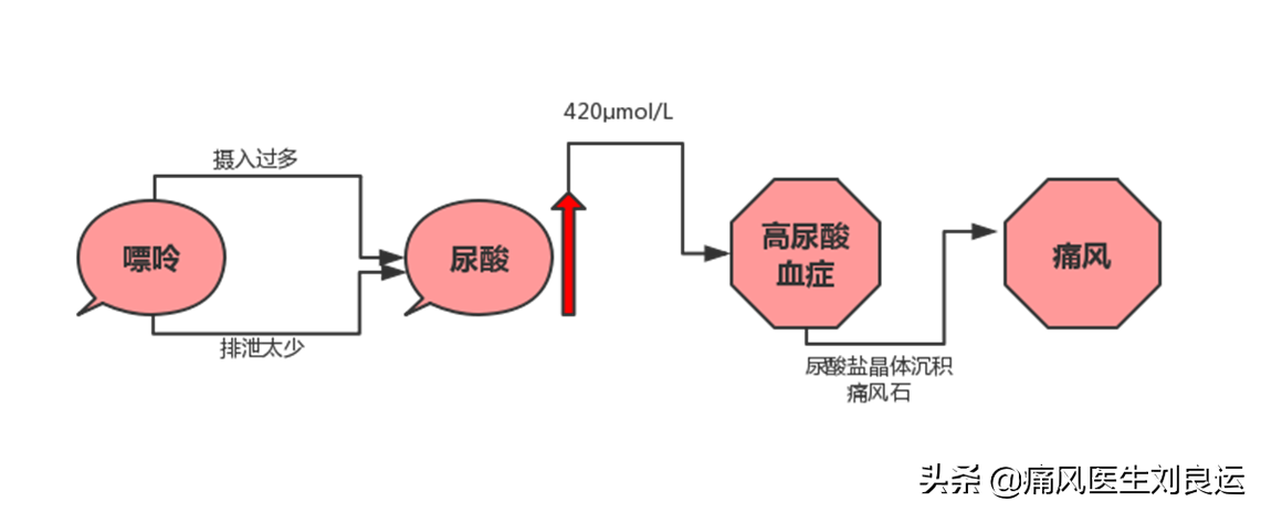 体检尿酸高不一定痛风发作，但你仍需了解血尿酸高的原因和危害