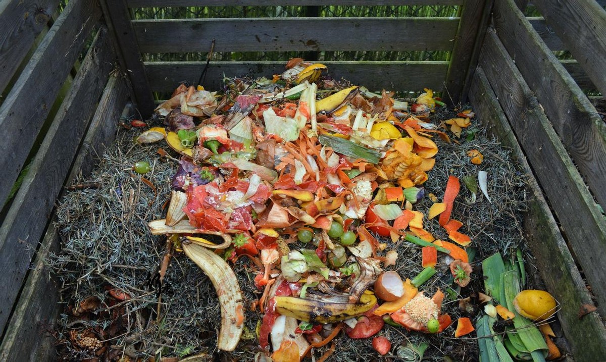 20亿人吃撑，7亿多挨饿，粮食离奇失踪哪去了？中美究竟有多浪费