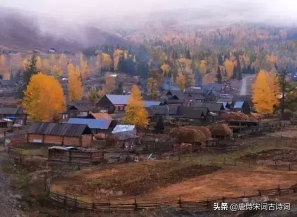 最有名气的17首七律唐诗，难以逾越的高峰！大家慢慢赏读