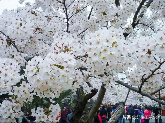 在唐诗宋词里，任伯年画春燕，许你一场春暖花开