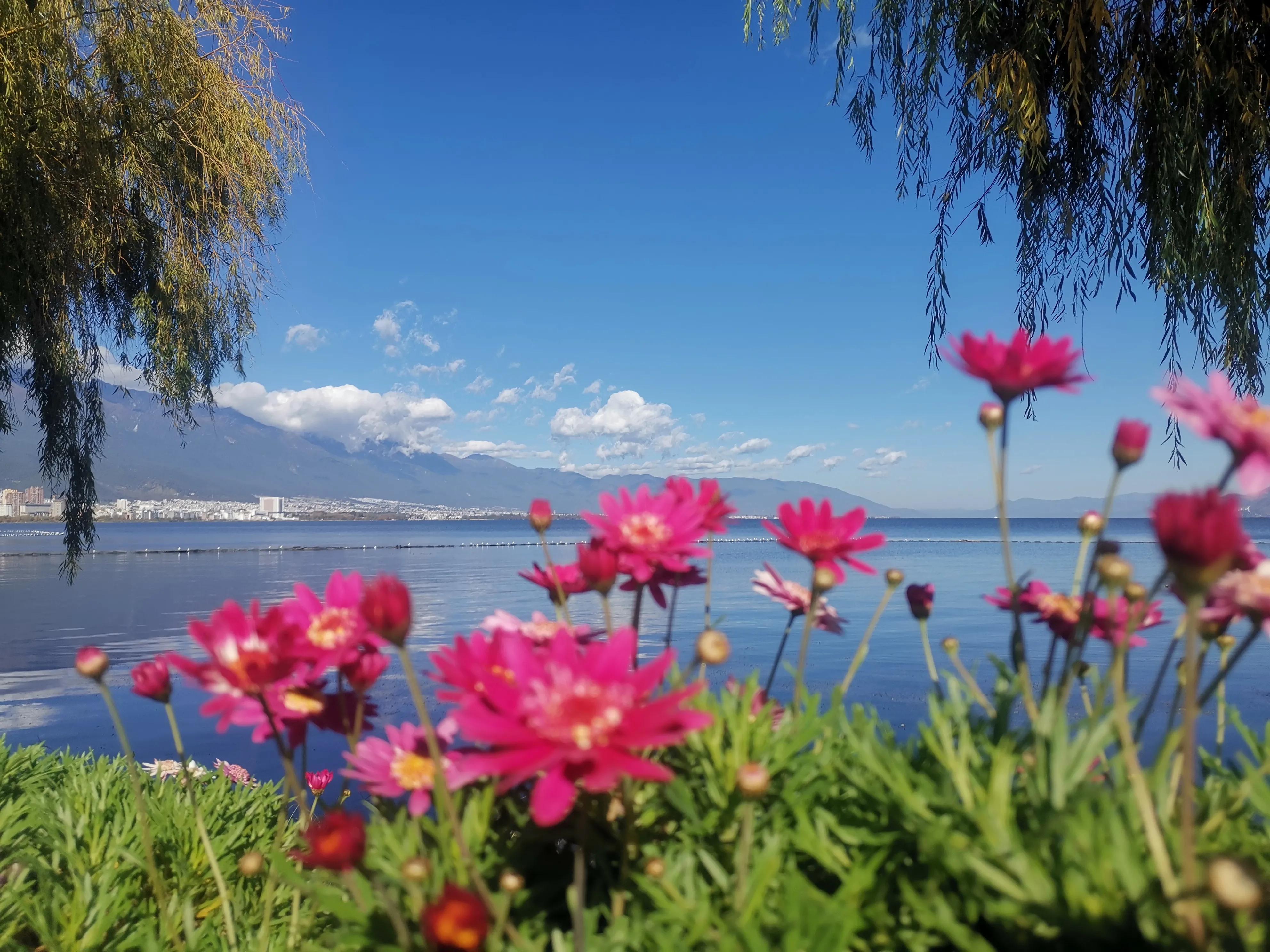 苍山月影浮云绕，洱海风清碧浪涟