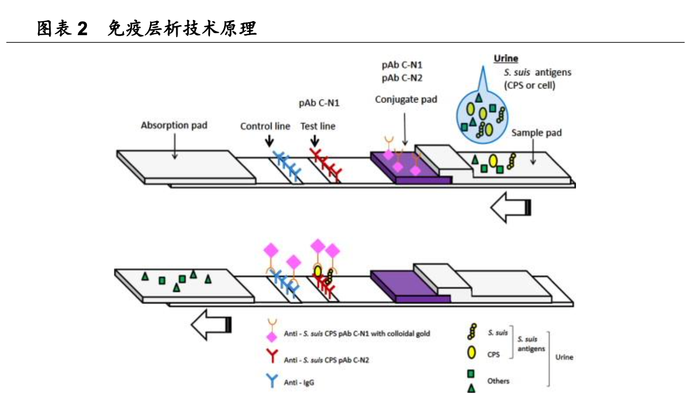 三诺生物招聘（行业深度）