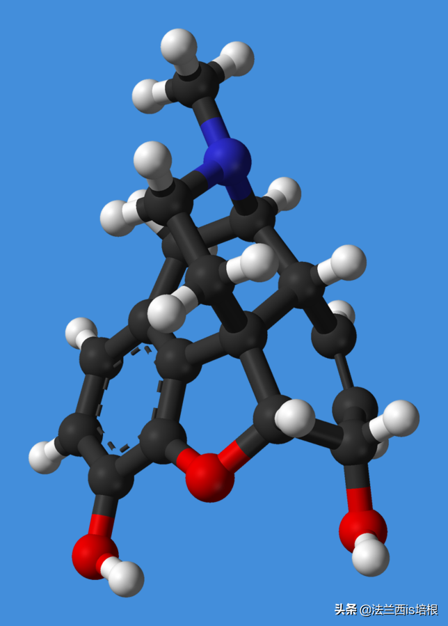 阿片类药物，吗啡、海洛因、奥施康定简史