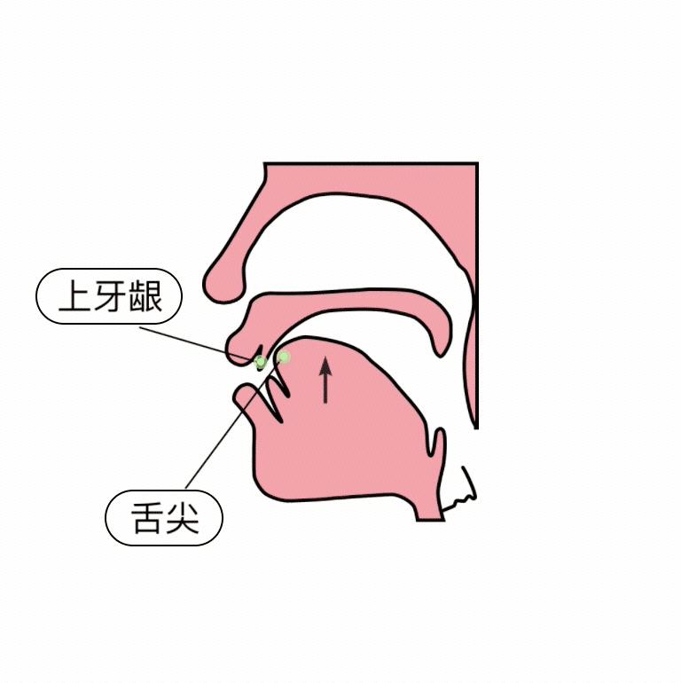 前鼻音后鼻音舌头图解图片